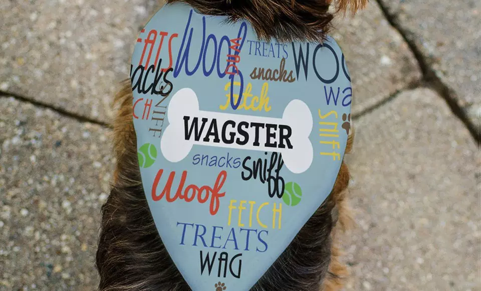 Personalized Dog Bandanas for Every Occasion