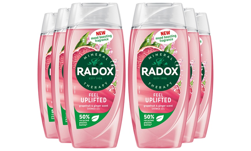 Image 19: Radox Mineral Therapy Shower Gel with Mood-Boosting Fragrance