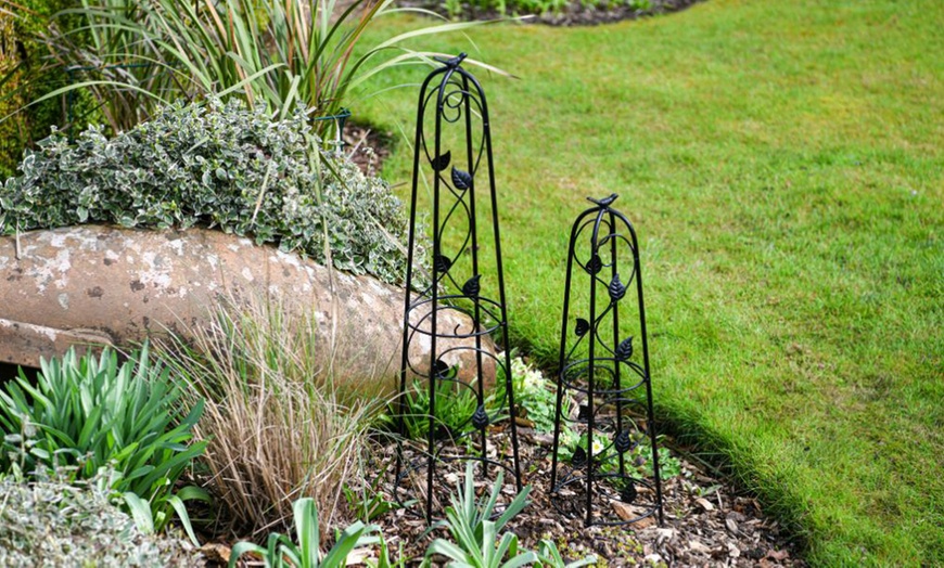 Image 22: Decorative Garden Trellis Plant Support Collections