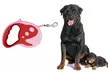 Hunde-Roll-Leine, 3 m oder 5 m, in Pink oder Blau - Second Medium
