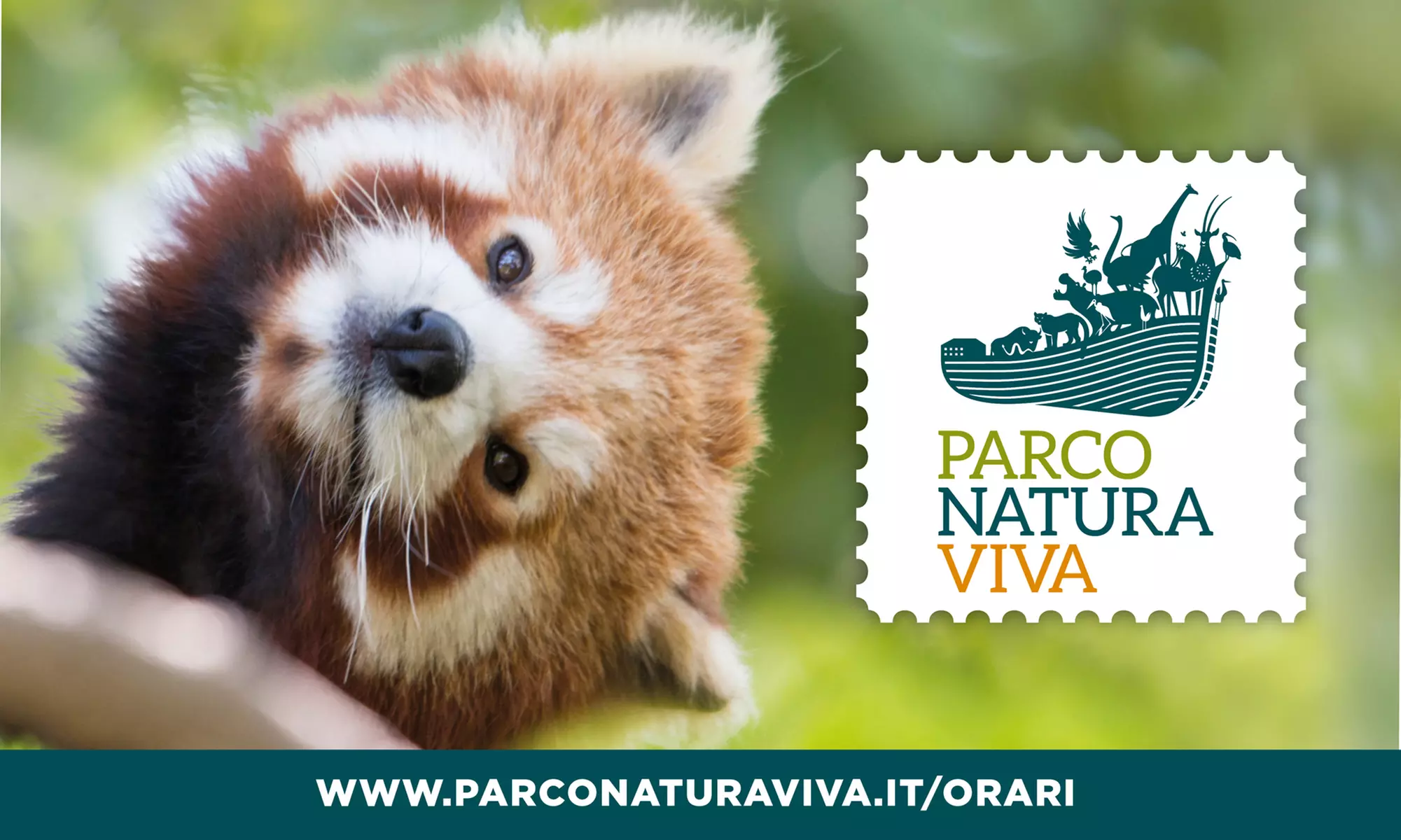 Giornata al Parco Natura Viva per tutta la famiglia! (sconto fino a 25%) - Primary Image