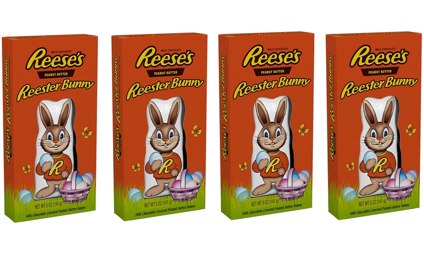 Image 3: Reester Bunny Multi-Pack