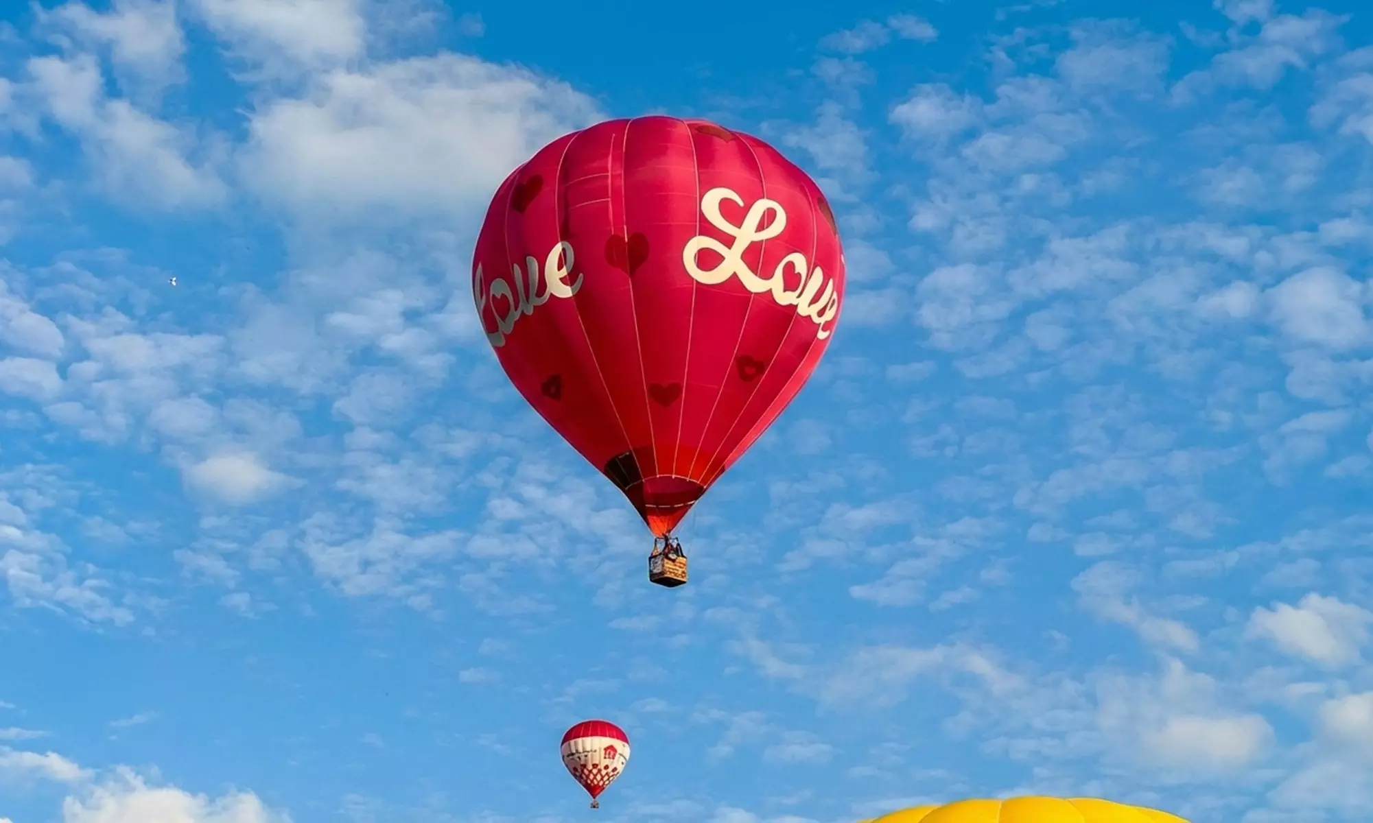 Exclusieve belevenis: ballonvaart boven prachtige lokale landschappen