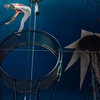 Image 10: One Grandstand Ticket to Circus Vegas American Circus