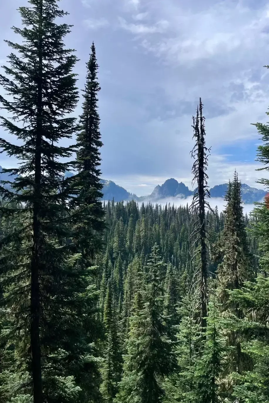 ✈ Colorado Springs Road Trip: 5 Days with Air, Car & Stay from Worldee