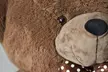 Ours en peluche extra doux Bueno XXL, jusqu'à 220 cm - Second Medium