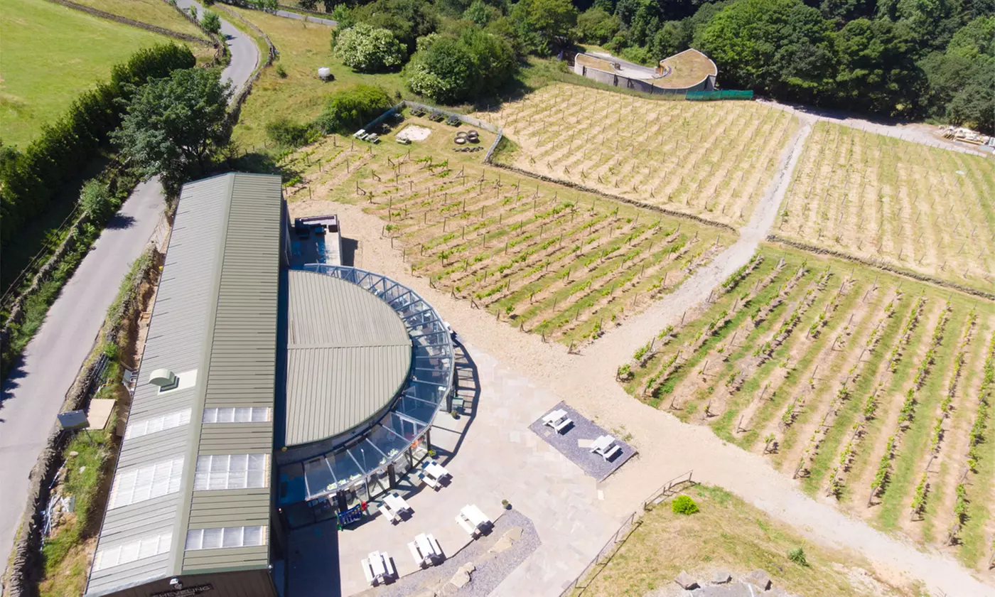 Vineyard Tour with Wine Tasting & Afternoon Tea for up to 4 People