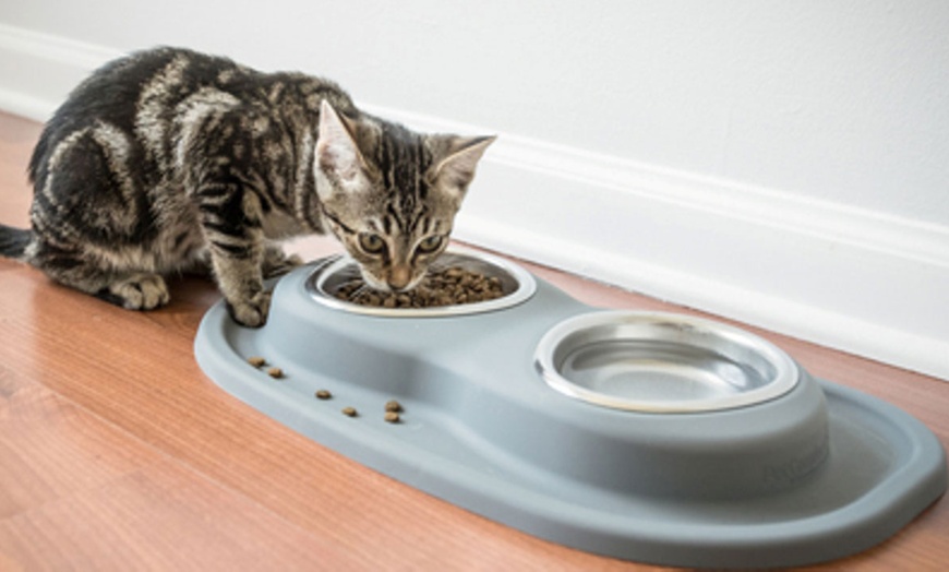 weathertech cat dishes