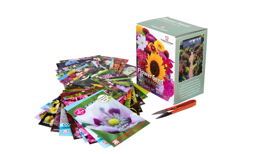 Image 1: Seed Grow Kit Flower Bumper Pack – 40 Varieties