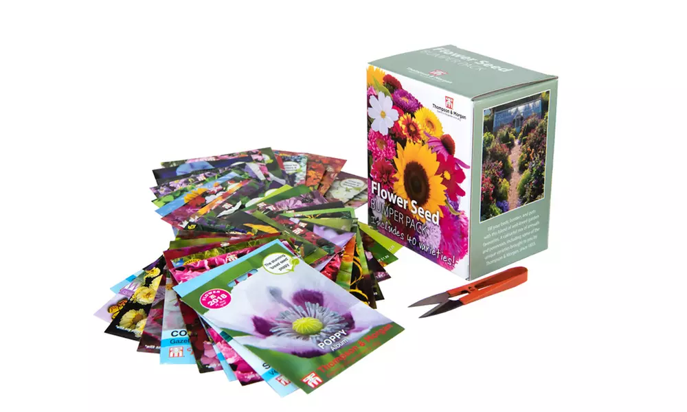 Seed Grow Kit Flower Bumper Pack – 40 Varieties - Primary Image