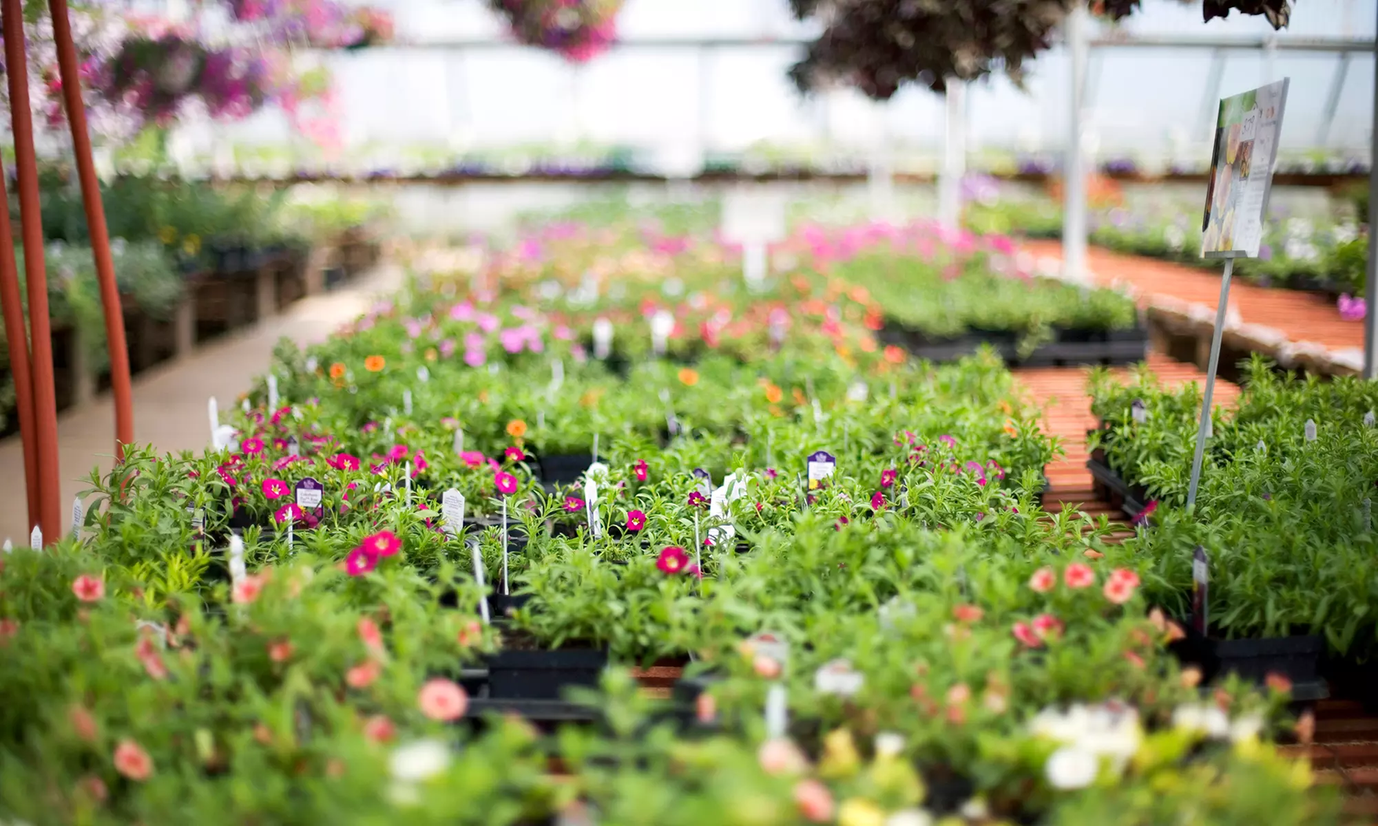 Up to 50% Off Lawn & Garden — Minnesota Valley Garden Center; Valid Thursday 9 AM - 5 PM - Primary Image
