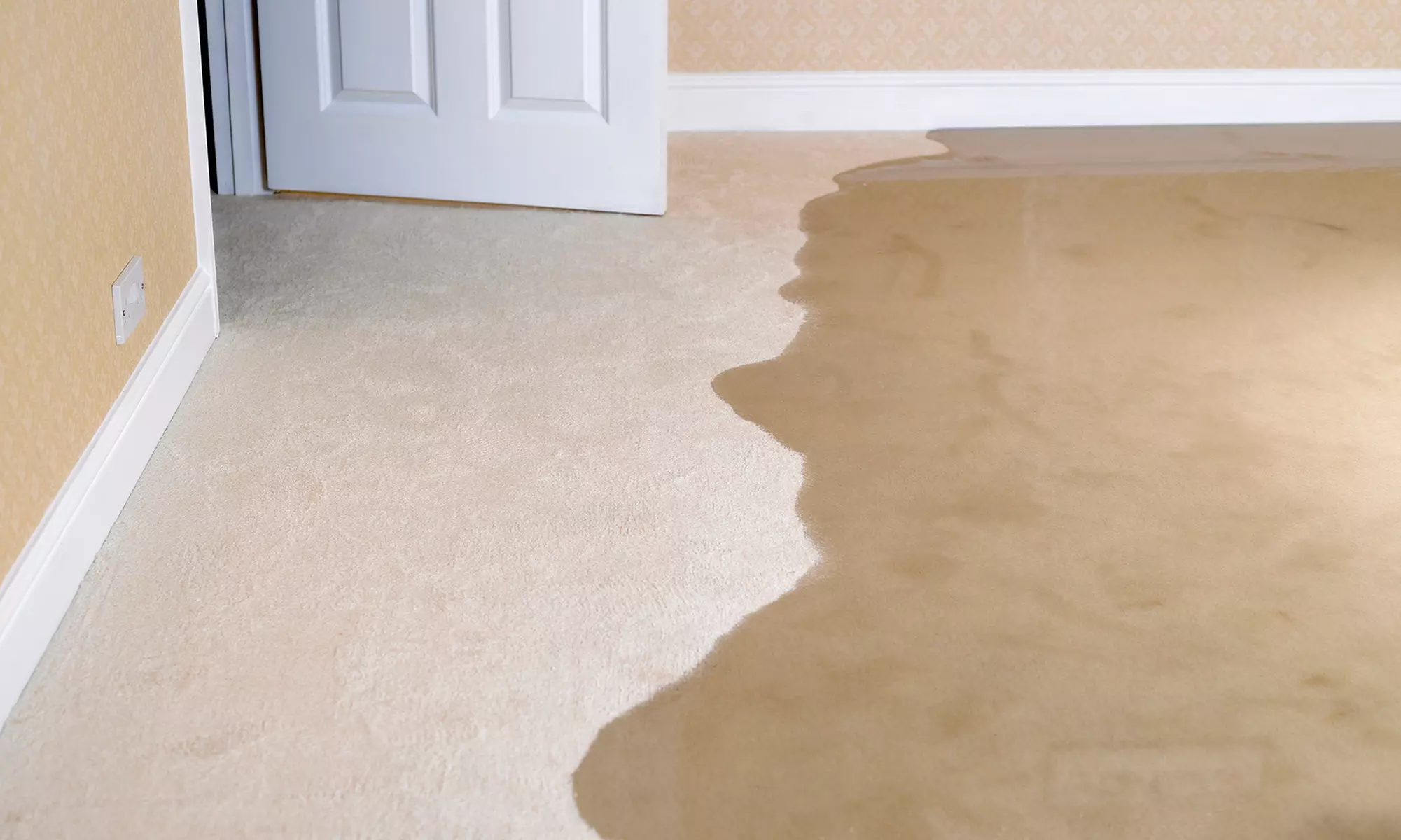 $250 for Water Extraction for Flooded Homes from HydroDry Restoration ($2,700 Value) - Primary Image