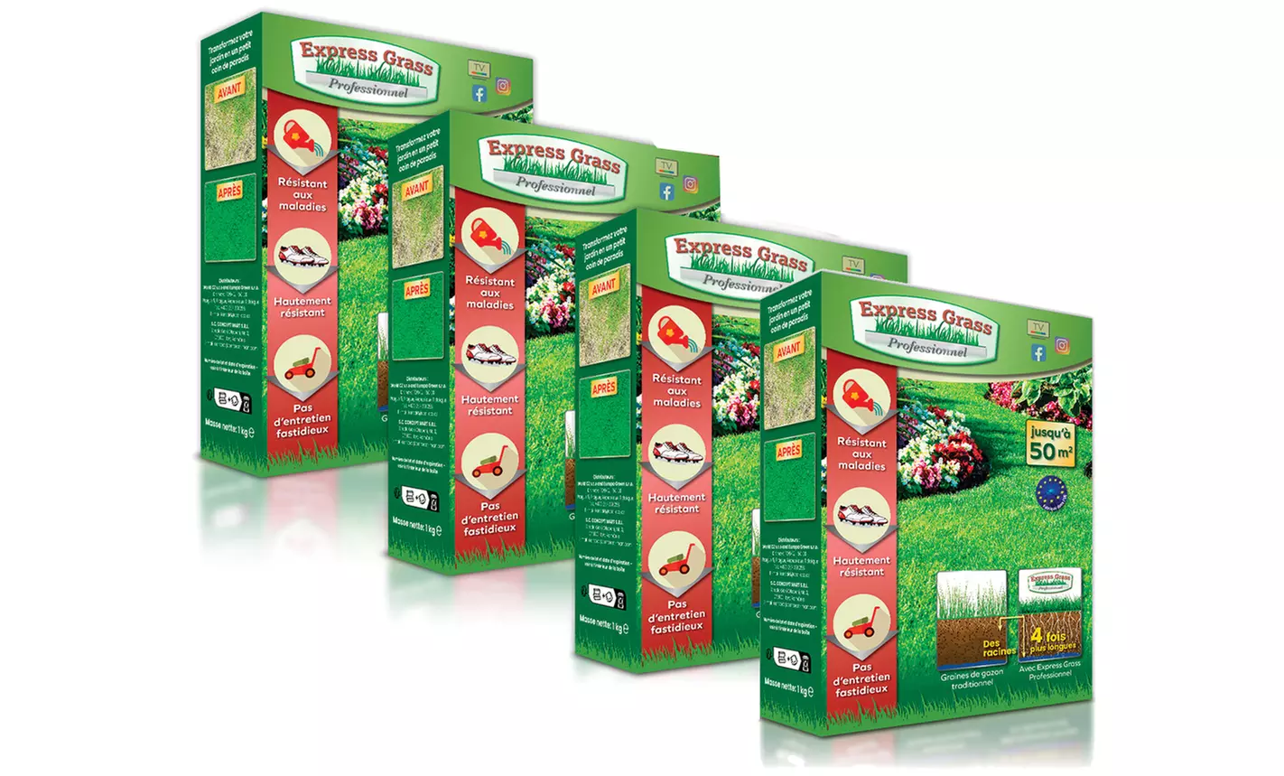 Graines de gazon express traditionnel