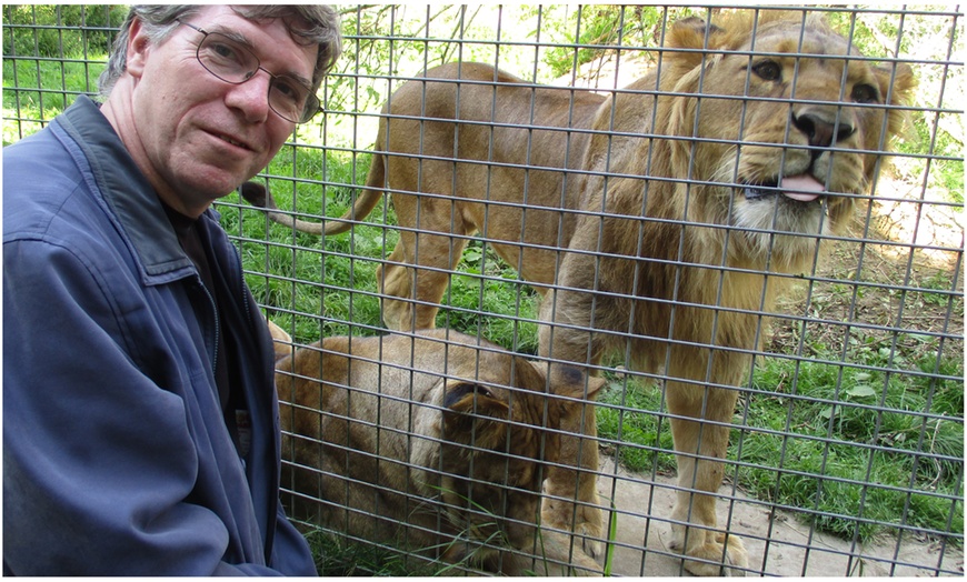 Image 5: Meet and Feed Big Cat for Two