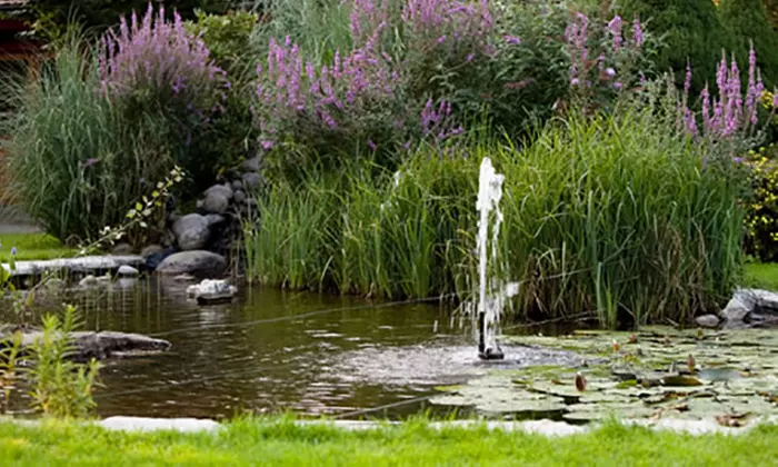 Tageskarte für 1 oder 2 Personen für den Saunapark Kamperbrück