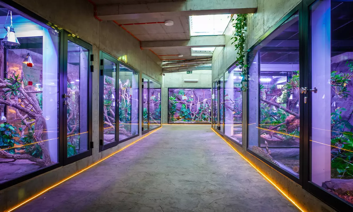 Zobacz z bliska egzotyczne rośliny i zwierzęta: bilety do Egzotarium