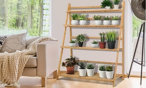 Bamboo Plant Storage Rack Set