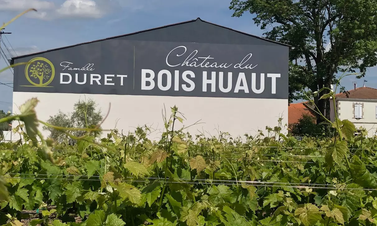 Maîtrisez l'art du vin : visite, cours d’œnologie et dégustation