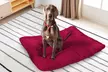 1 o 2 almohadas grandes para perros - Second Medium