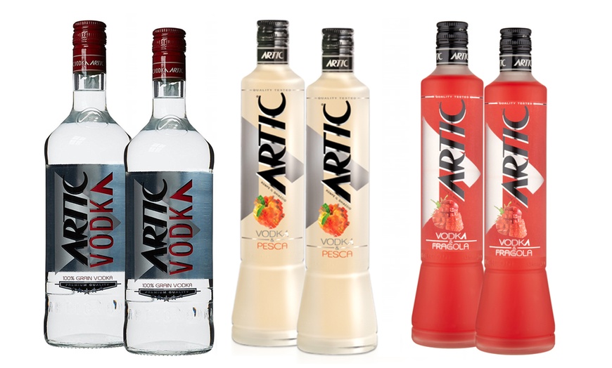 Image 9: Vodka Artic 1 L