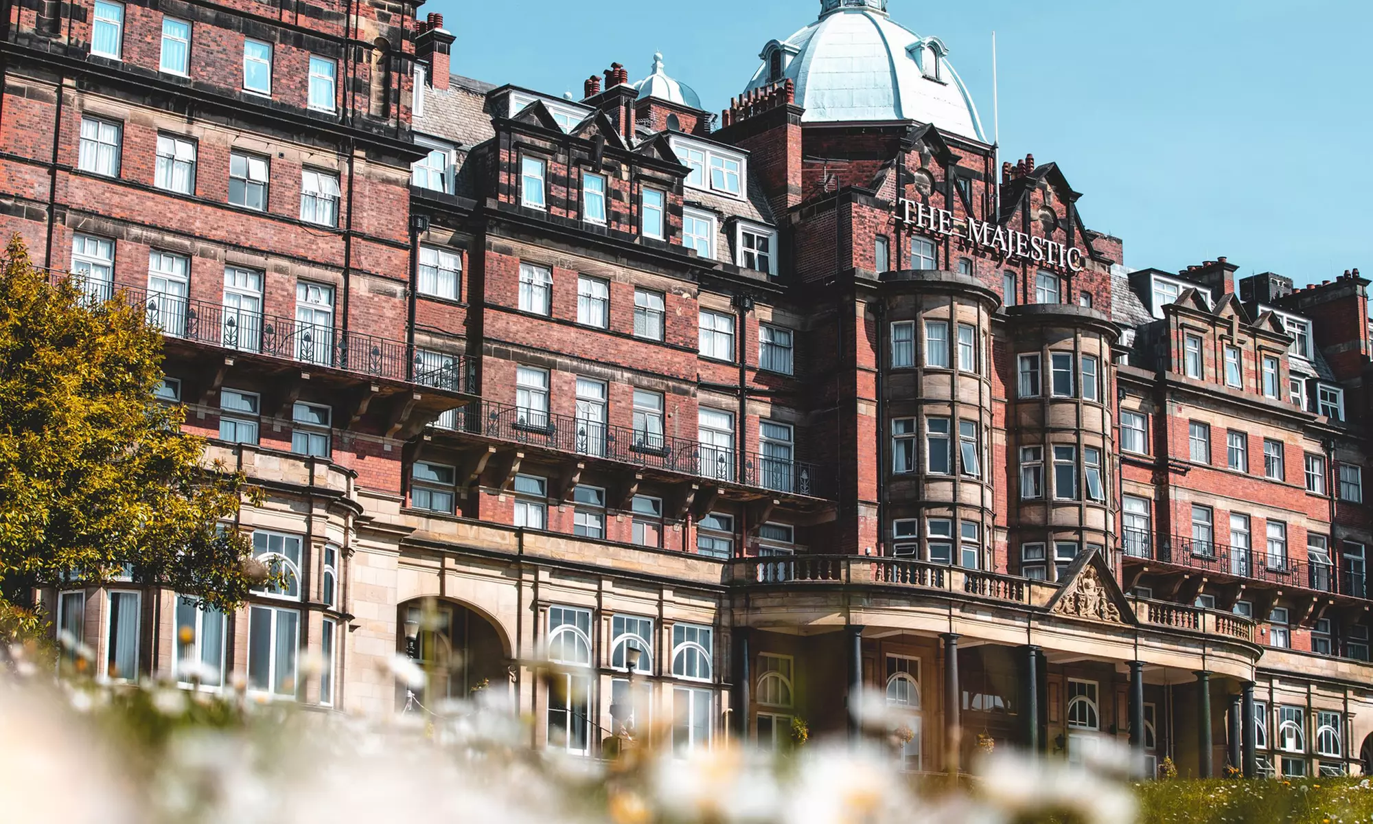 Luxury Afternoon Tea