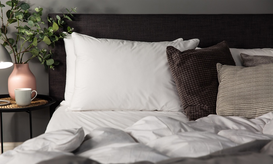 Image 2: Relax Touch of Luxury Goose Feather Pillows