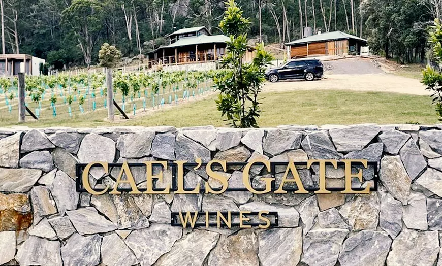 Image 3: Wine and Cheese Tasting with Optional Charcuterie in the Hunter Valley