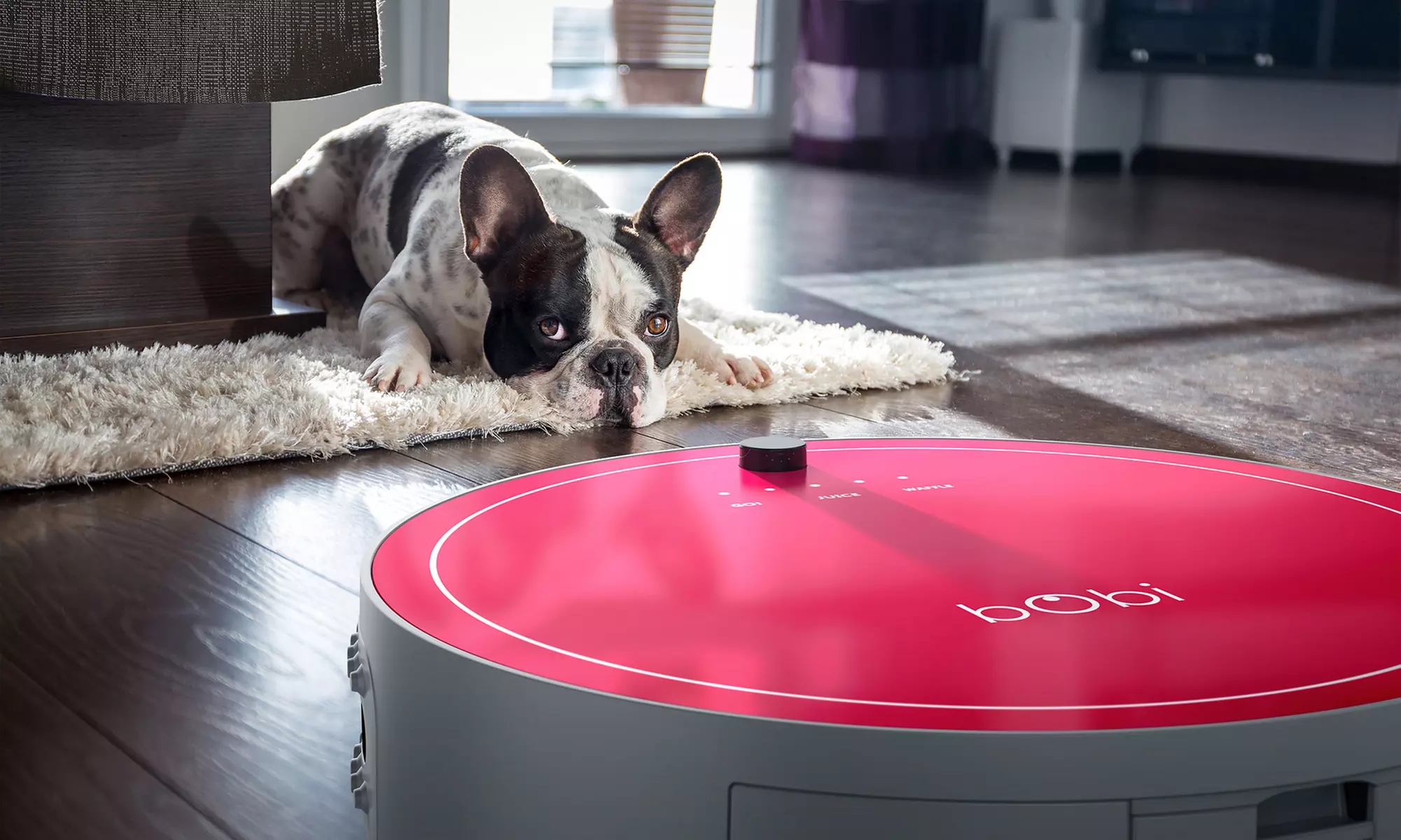 bObi Pet or bObi Classic Robotic Vacuum Cleaner by bObsweep - Primary Image