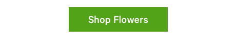 Shop Flowers