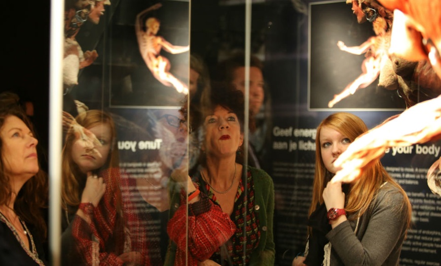 Image 10: Tickets BODY WORLDS Amsterdam