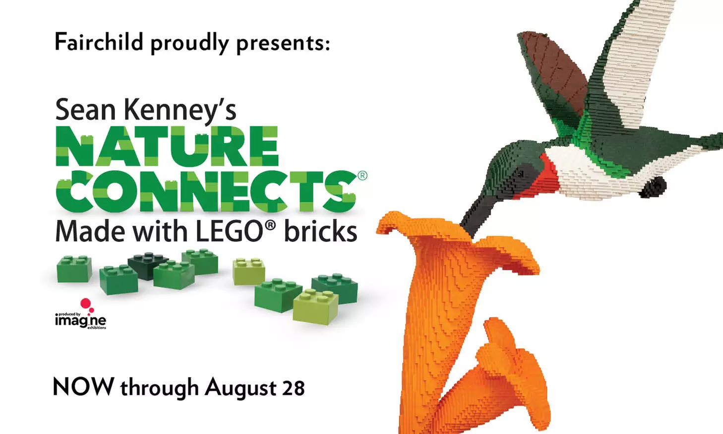 Admission to Nature Connects at Fairchild Tropical Botanic Garden (Up to 17% Off). Two Options Available. - Primary Image