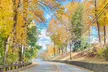 Guided Jeep & Specialty Tours Through Asheville’s Mountains, Waterfalls & Historic Landmarks - Second Medium