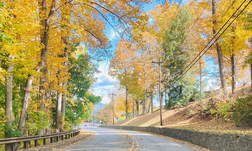 Image 7: Guided Jeep Tours, Up to 20% Off