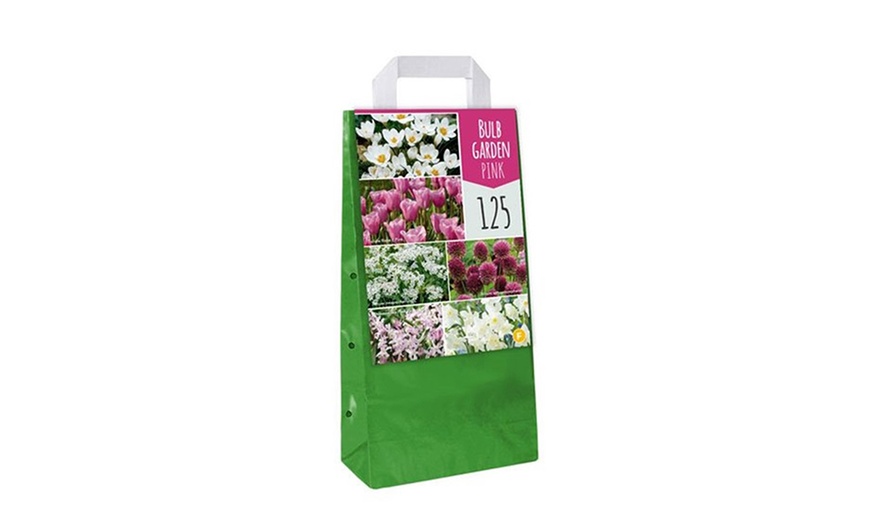 Image 7: Assortiment de 125 ou 250 bulbes de fleurs