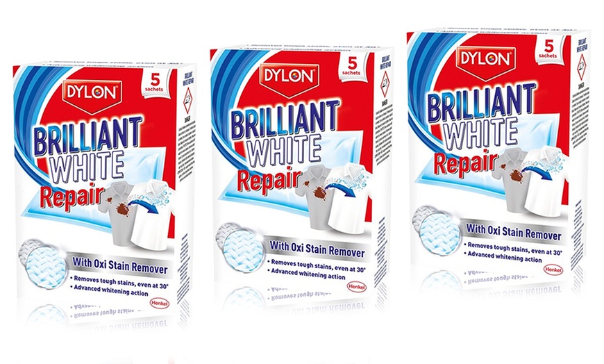 Image 4: Dylon Stain Remover Sachets