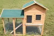 Poulaillers en bois traité RIGA - Second Medium