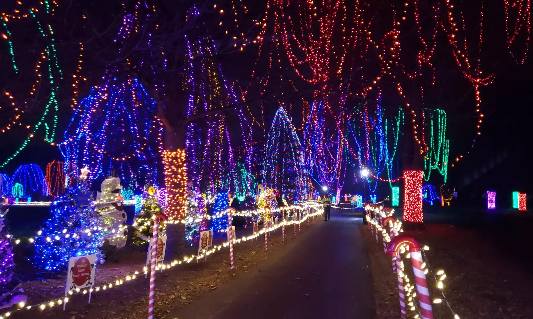 Create Lasting Memories with Rent My Party Bus's Holiday Lights Tour - Unforgettable Features Included - Second Medium