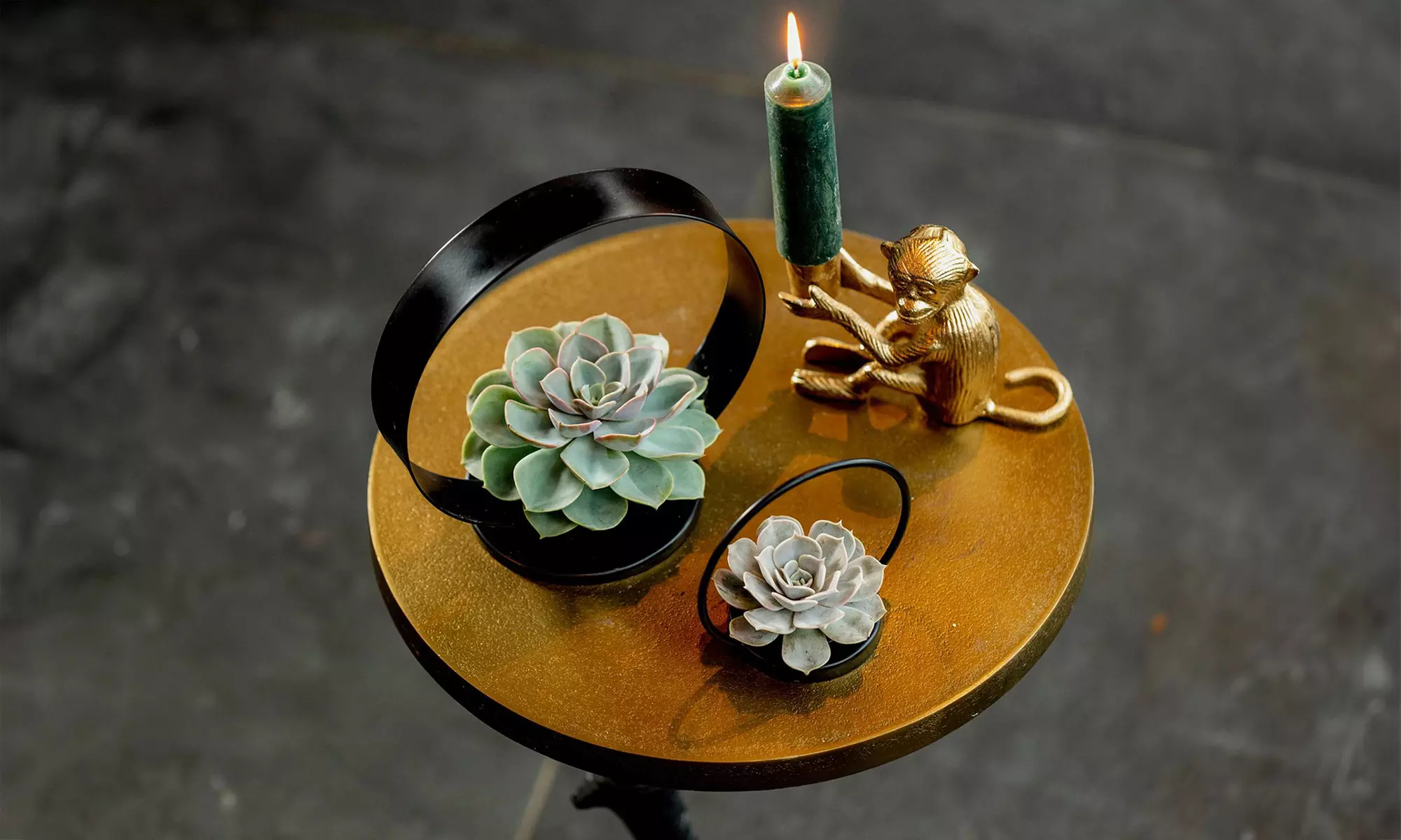 Wurzellose Sukkulente im Metallring - Second Medium