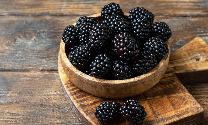 Image 6: Blackberry Growers Choice Blackberry Cultivars