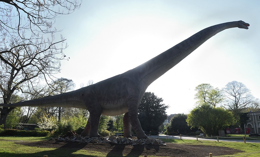 Image 7: Im Zoo sind die Dinos los! Tageskarte Kölner Zoo & Aquarium