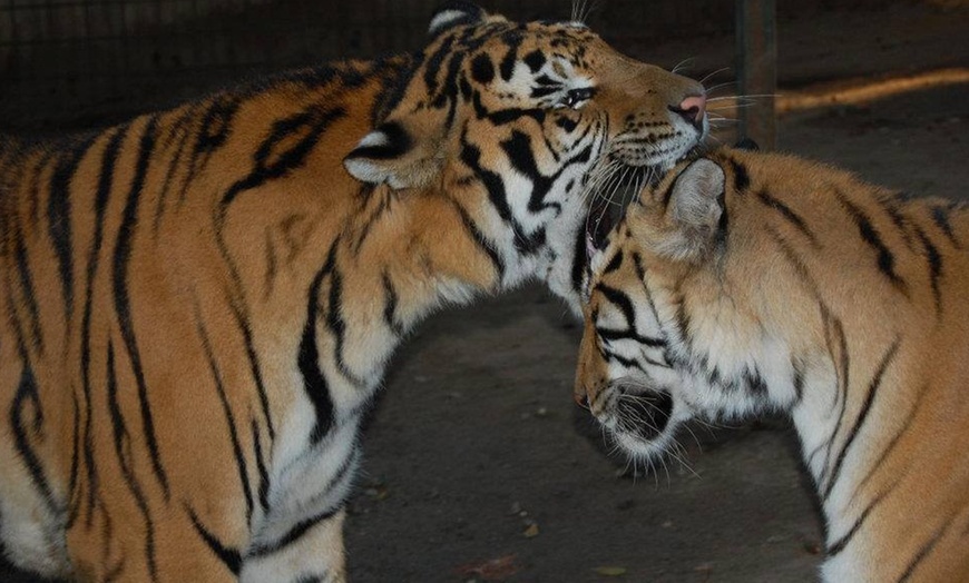 Image 7: Visita al Zoo Castellar