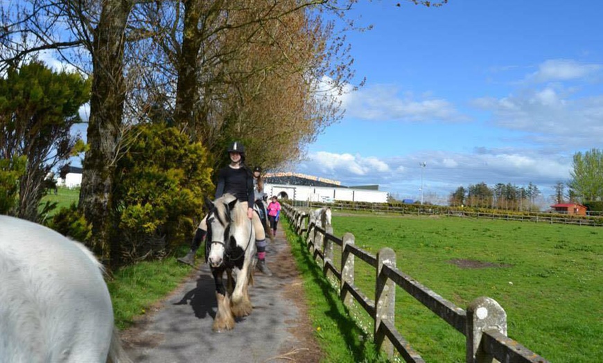 Image 7: 90-Minute Horse Riding Session