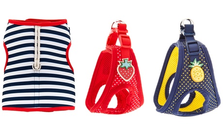 Pettorina Ferribiella per cani disponibile in 4 fantasie e 3 taglie