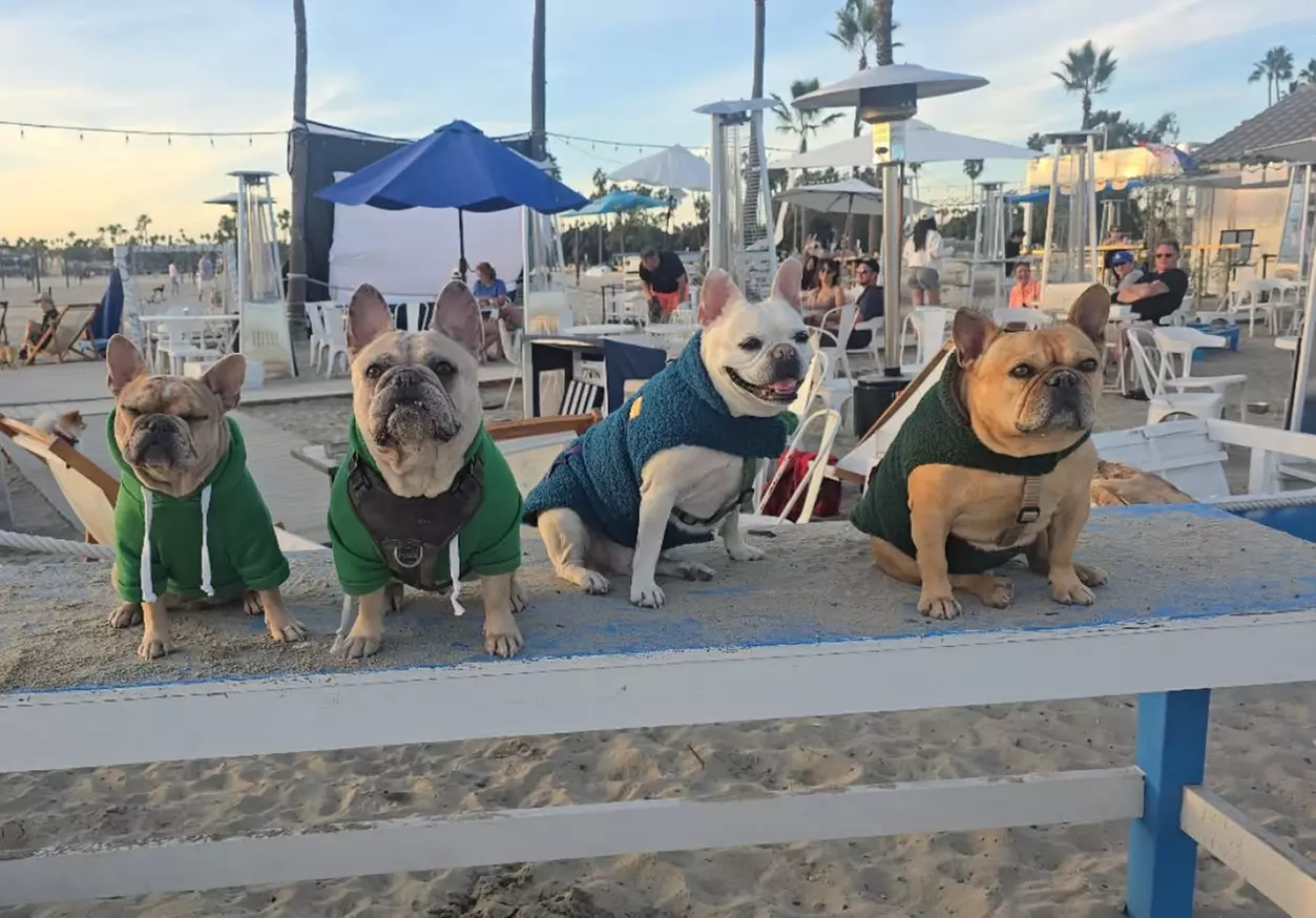 Beachside Fun w/ Sunbed Lounge Packages, Paddle Board Adventures/ More