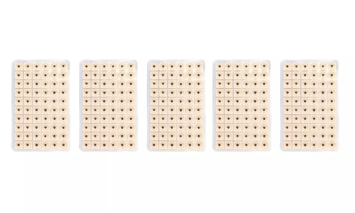 Bis zu 10x Acusoothe Ohrensamen für Akupressur und Akupunktur-Therapie