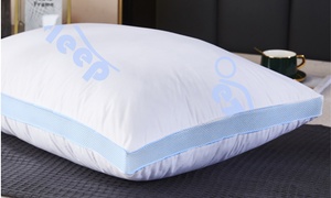 One or Two Memory Foam Airflow Pillows