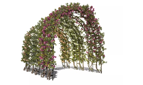 Arco in acciaio per piante rampicanti