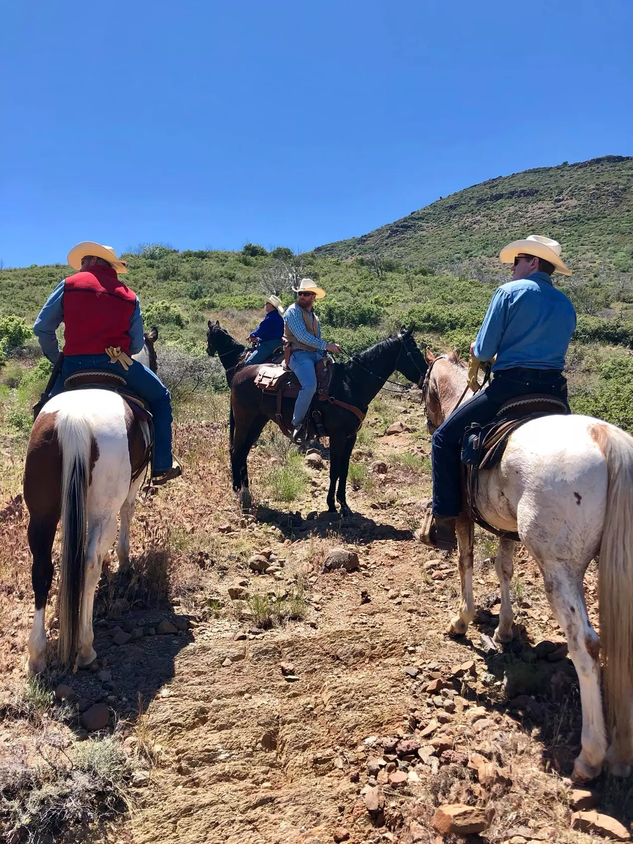 ♞ Experience 90-Minutes of Horseback Adventures