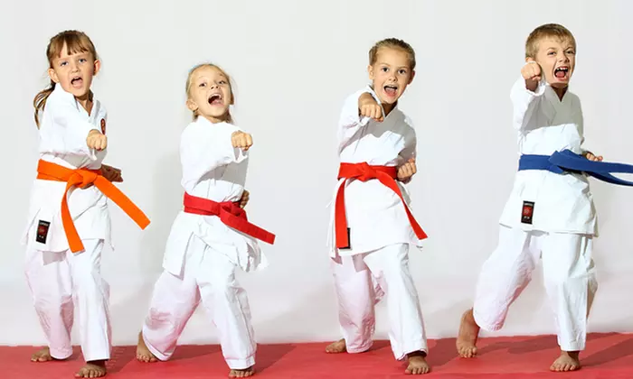 One Month of Classes at KIMA LEE Taekwondo School for Kids (Up to 64% Off). Two Options. - Primary Image