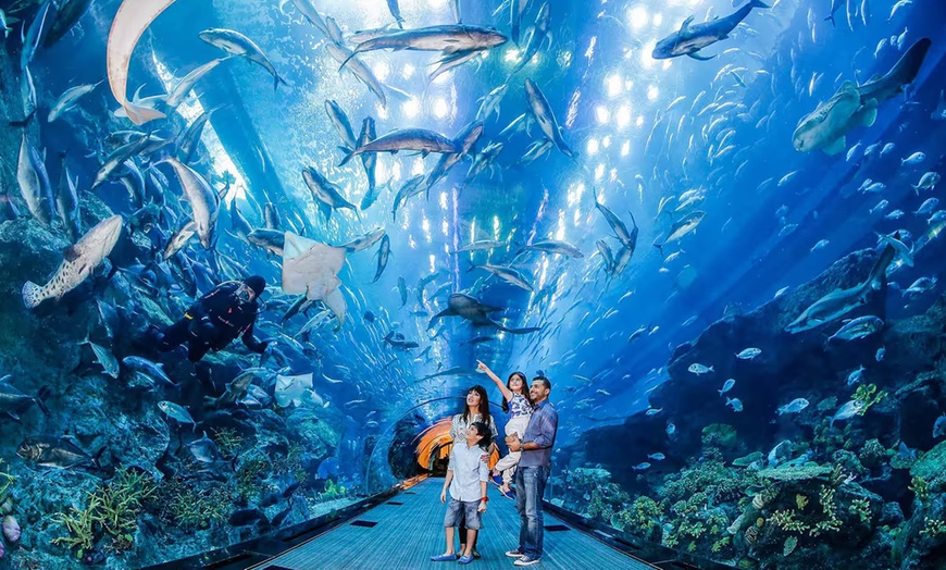 Image 7: Explore Dubai Aquarium with Frame, Glow Garden, Aya Universe & More!